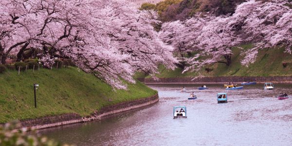 Gambar Beasiswa Jepang